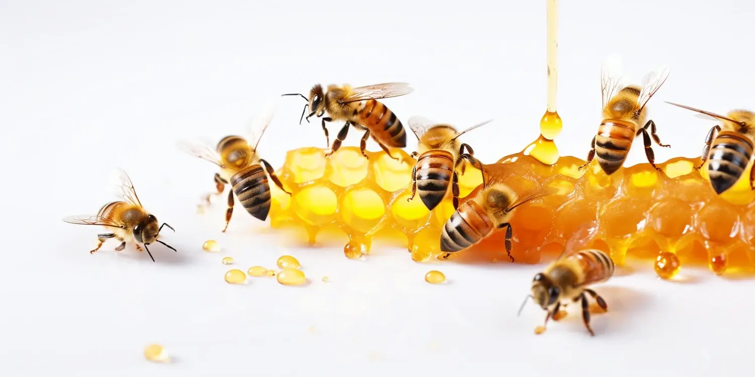 Grzegorz Pawluk najlepsze matki pszczele